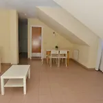 Marina ナベセス